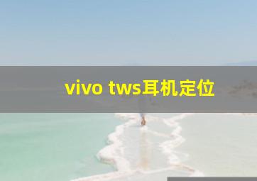 vivo tws耳机定位